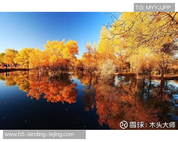 零点与希望的交锋2017年那些改变我们命运的瞬间与思考